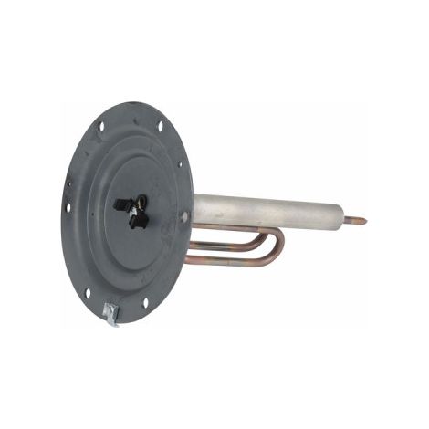 Ensemble d&039élément blindé 1200w avec bride et anode - DE DIETRICH CHAPPEE : 97863563