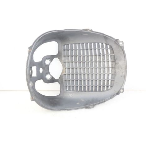 GRILLE RADIATEUR PIAGGIO X9 EVOLUTION 125 2003 - 2007 (1/4)