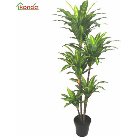 C PIANTA DRACENA ARTIFICIALE 170 CM- 2,0 pz