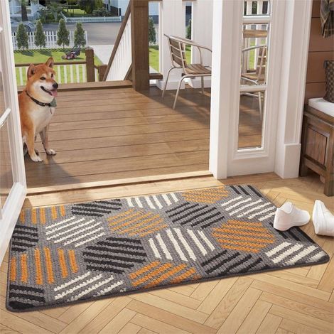 BelleRise - Tapis d'entrée intérieur, lavable en machine, ultra-absorbant et antidérapant - 60 x 90 cm (1/5)