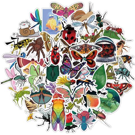50 autocollants insectes en vinyle PVC étanches pour enfants, ados, ordinateur portable, téléphone, guitare, valise (1/5)