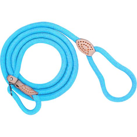 Laisse de retriever avec stoppeur de traction, 180 cm, avec collier, résistante aux intempéries, réglable, pour petits et grands chiens, bleu clair (1/5)