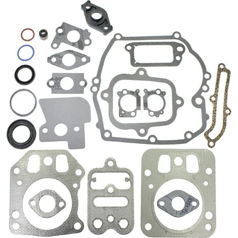 Serie guarnizioni Intek verticali fino a 6,5 HP 110600, 121600, 122600-320040