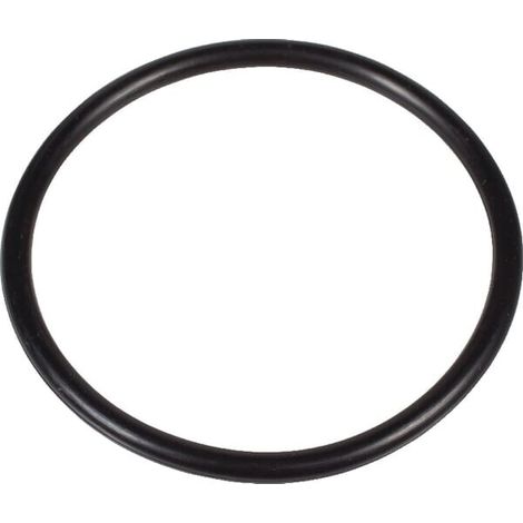 O-Ring SDF 04357923