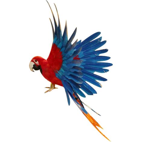 Oiseau artificiel volant perroquet ailes maison art décor 15.7 pouces rouge et bleu (1/5)