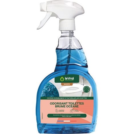Odorisant Brume Océane 750ml Parfum Frais Longue Durée Pour Toilettes - Le Vrai Pro Brico