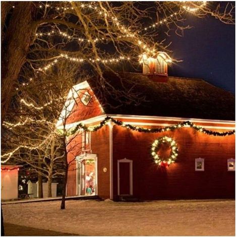 GROOFOO Guirlande Lumineuses Led 100M 1000Leds Extérieur, Eclairage Lumineux Décoration Noël Avec 8 Modes, Ip44 Étanche - Blanche Chaude (1/3)