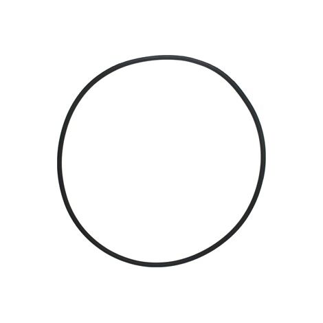 Lot de 2 joints toriques Pentair 39010200 – Pour filtre CCP 520/420/320 – Assure une étanchéité parfaite du réservoir (1/5)