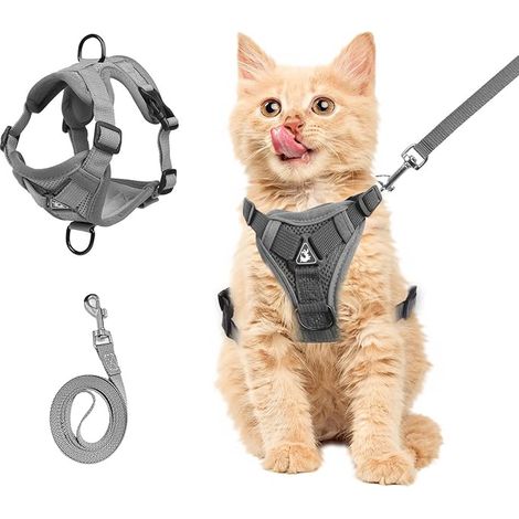 Harnais pour chat avec laisse - Harnais réglable pour chat - En tissu respirant - Gris - Tailles S (gris, S)