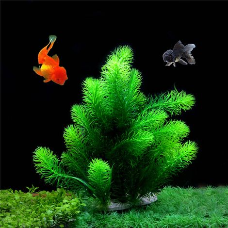 Plante Aquariophile Artificielle - Base Pesee - Sans Entretien - Pour Aquarium Poisson - Lot de 3 (1/3)