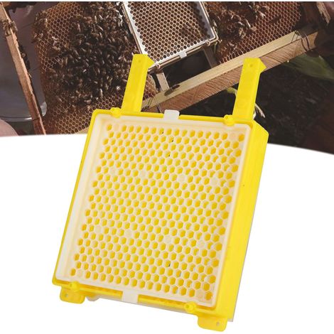 Komplettes Werkzeugset für die Königinnenzucht: Königinnenkasten, Königinnenkäfig, Königinnenzellen-Übertragungsbox, Königinnenzuchtset. (1/5)