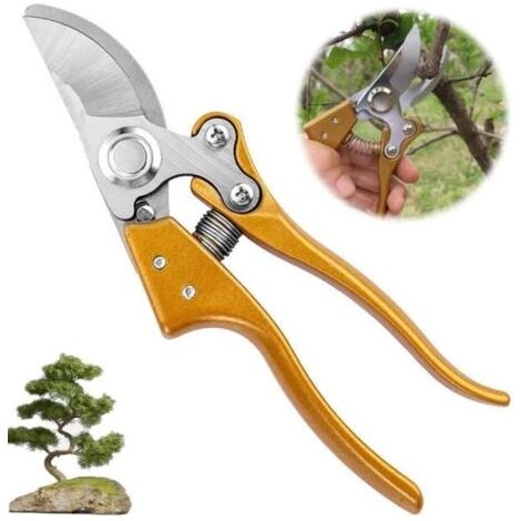 Sécateur de Jardin Lame Franche Antidérapante - Ergonomique - Coupe jusqu'à 25 mm (1/4)