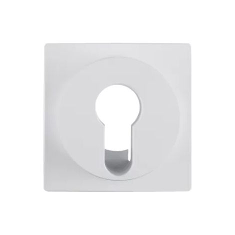 Berker Z-STK.DIN-PROFIL-WSS / BERKER 15071909 S1/B1 15071909 (1/2)