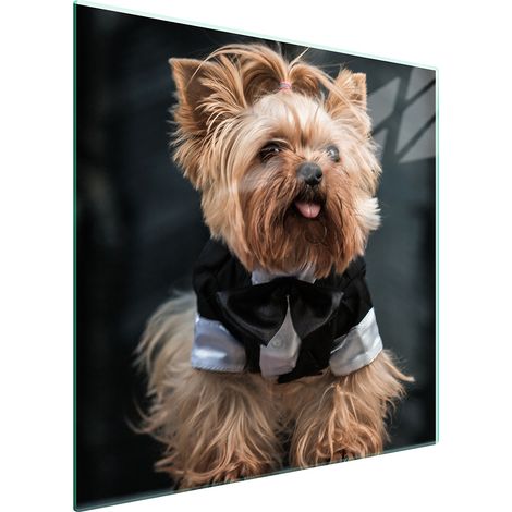 GLASSCHUTZPLATTE FÜR HERD 50x52 HUND (1/5)