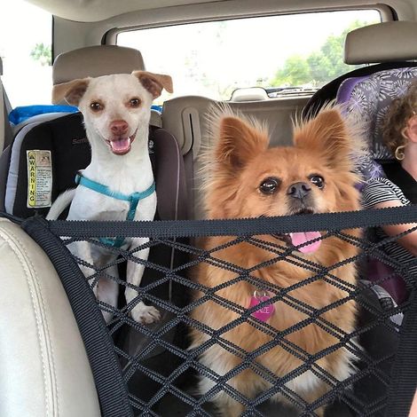 Filet de protection pour siège de voiture pour animaux de compagnie, housse de siège pour chien, filet de sécurité pour chien en voiture (1 paquet) (1/4)