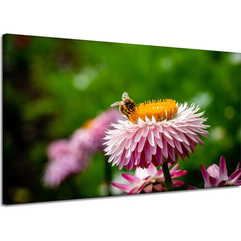 Leinwanddruck Biene auf einem Gänseblümchen 120x70 cm