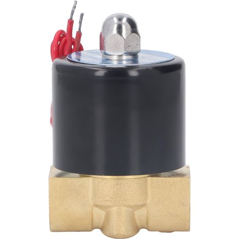 Vanne électrique 2W040-10/AC220V, électrovanne normalement fermée, 2 voies 2 positions, corps en laiton, commande fluide, alimentation 220V, usage industriel. (1/5)