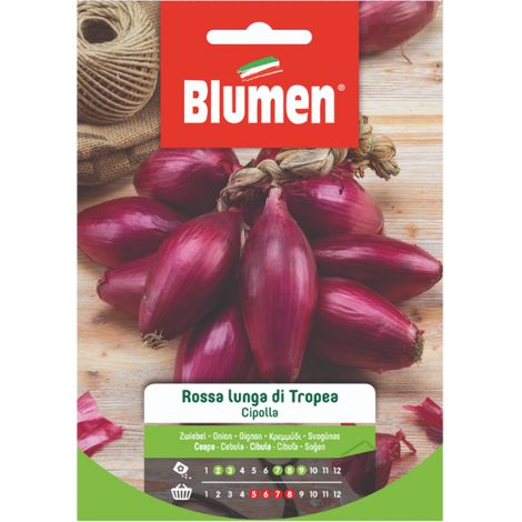 SEMI CIPOLLA ROSSA LUNGA DI TROPEA BLUMEN
