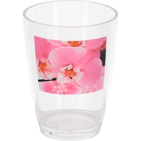 Becher as - lou - Tendance