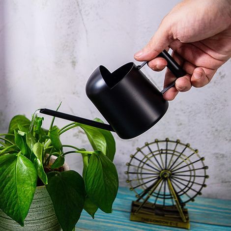 Annaffiatoio in acciaio inox con beccuccio lungo, di piccole dimensioni, adatto per piante grasse e fiori, per uso interno ed esterno (300 ml, nero) (1/5)