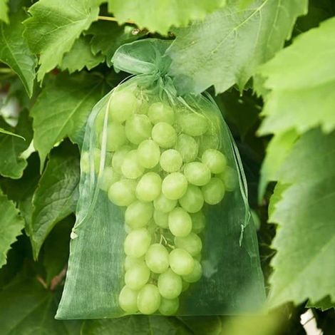 Sachet Protection Raisin,70 pièces Sac Protection Fruits,Sachets en Organza Respirant 30cm x 20cm (1/5)