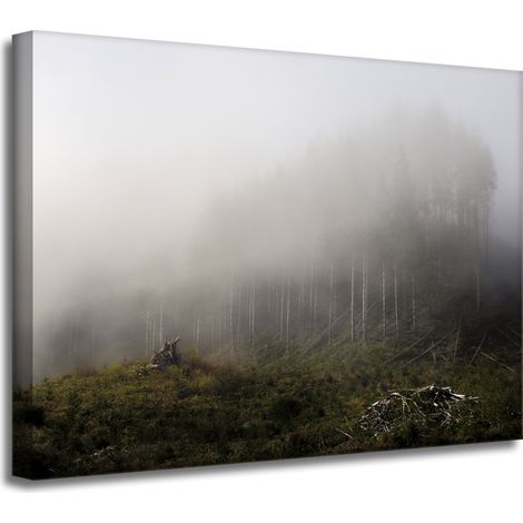 Leinwanddruck Natur Nebel im Wald 40x30 cm
