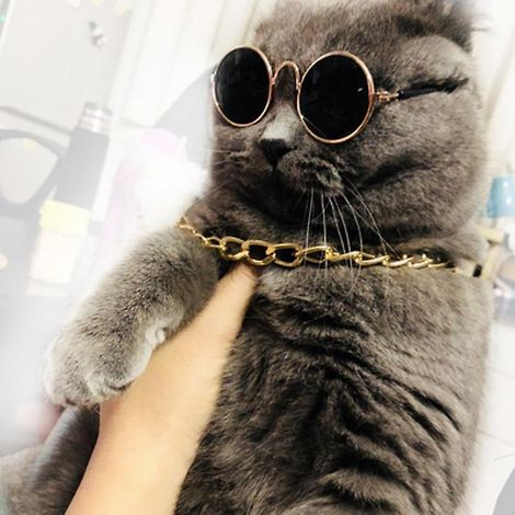 lunettes De Soleil Chat, Protection Uv Chat Lunettes De Soleil Rtro Classiques Pour Petits Chiens Lunettes De Soleil Rondes Pour Poupes Accessoire (1/5)