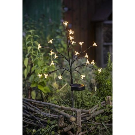 Solar flowering shrub - GALIX - G4505 - H72 (1/3)