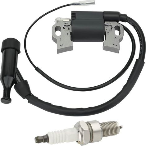 Hochspannungszündspule für CH440-Motor 1758403S- (1/3)