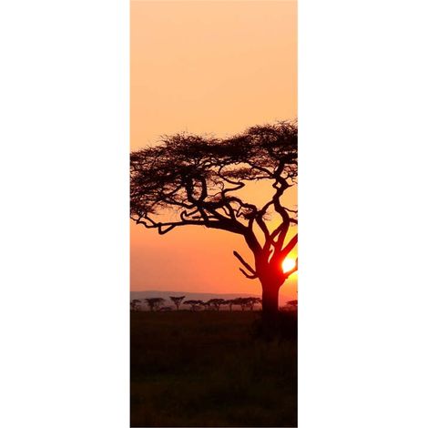 Panneau mural douche en alu-composite VIPANEL - Inspiration Nature Décor Africa - Finition Brillant - 100x255cm (1/5)