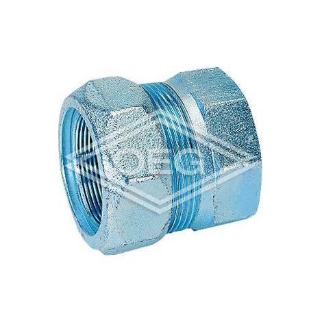 Gebo – Raccord de robinetterie en fonte malléable – Bouchon de fermeture Gaz PN 4, Eau PN 10 – Fixation par bague d'étanchéité NBR – DN 15 (1/2")
