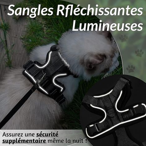 Verstellbares Katzengeschirr mit reflektierendem und atmungsaktivem Halsband, ideal für Kaninchen, Europäisch Kurzhaar, Maine Coons und Perserkatzen, mit Befestigungsmöglichkeit oben und Leine – Größe