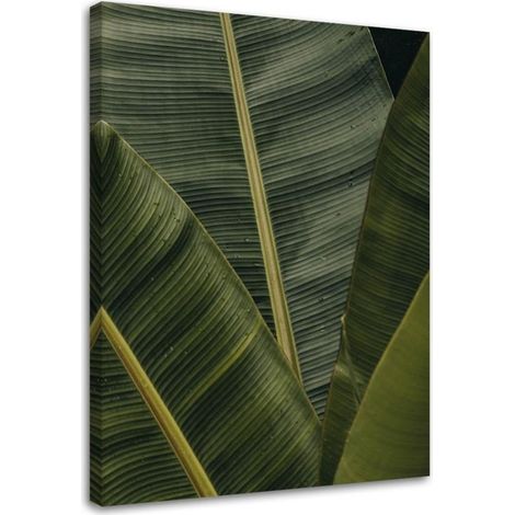 Tableau sur toile Feuilles de bananier Nature 40x60 (1/5)