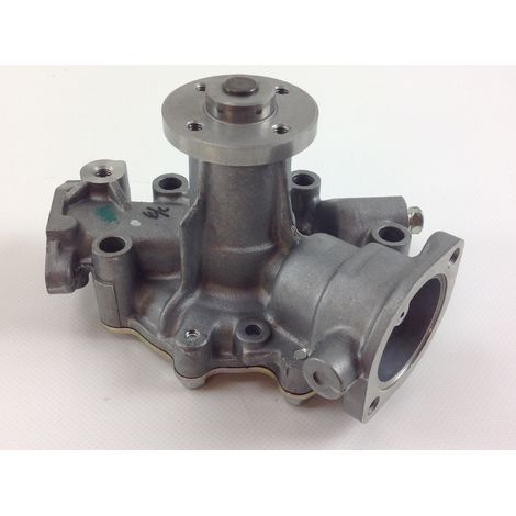 Pompa acqua motore DAIHATSU TORO ORIGINALE BRIGGS & STRATTON 825265 (1/4)