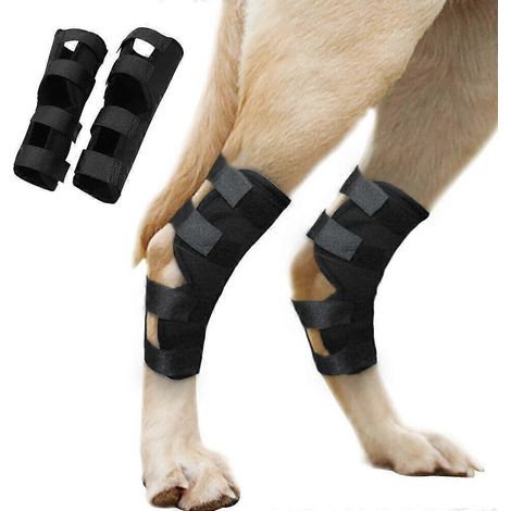 Genouillère pour chien en cas de rupture du LCA, patte arrière, grande ou petite, arthrite, blessure animale, XL ( ) (1/5)