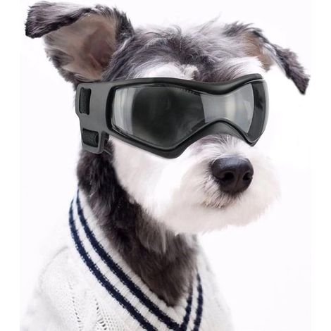 Occhiali per cani (1/5)