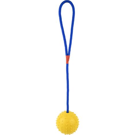 Puzzle de morsure pour chien jaune naturel sur corde en caoutchouc, pour ronger les dents, c (1/4)
