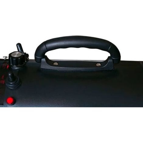 Sèche-poils pour animaux avec 3 embouts, noir, 2400 watts.