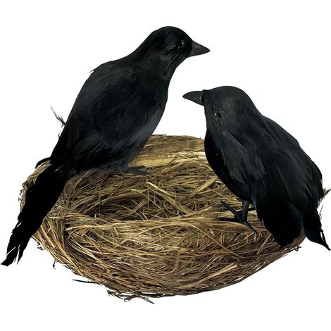 2 Packs Décoration Corbeaux Halloween, Corbeaux Noirs Réalistes avec Nid, Plume de Corbeau Noir Effrayant, Accessoire Décor Halloween, Décorations Effrayantes Intérieur Extérieur (1/5)