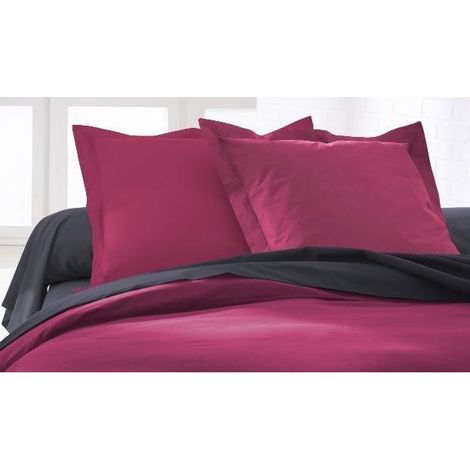 Drap Plat Privacy 180X290 coton 57 Fils TODAY Gris Canon de fusil