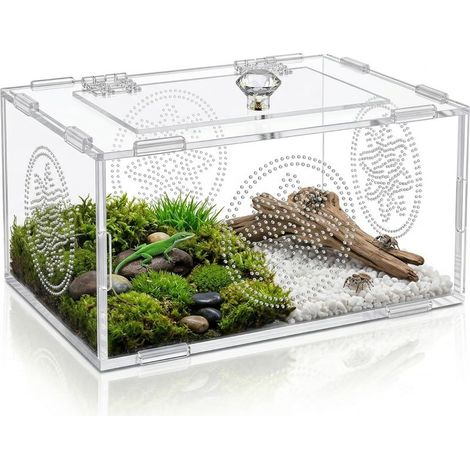 Terrarium Vivarium, Terrarium Reptile, Terrarium Acrylique, Boîte D'Alimentation D'Insectes Polyvalent pour Araignées, Lézards, Grenouilles, Coléoptères et Autres Reptiles et Insectes, 20 x 15 x 10 cm (1/5)