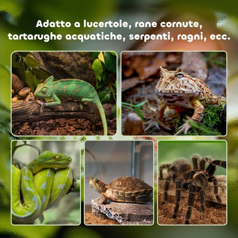 Terrarium surélevé pour reptiles avec serrure et thermomètre, en verre et grillage, 50 x 30 x 35 cm, noir (1/4)