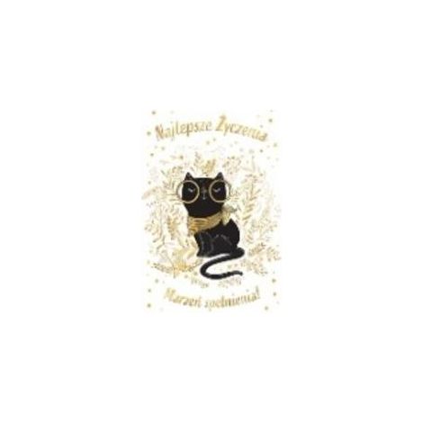Karte B6 Katze mit Brille