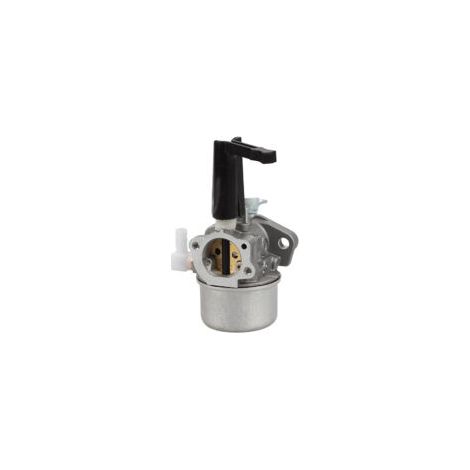 Carburateur S-GIANT avec joint de montage pour moteur Briggs & Stratton 696065