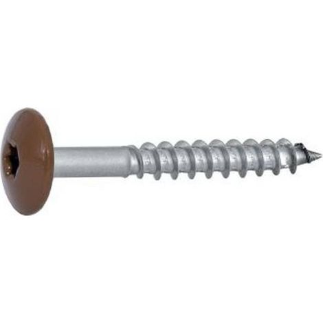 100 Vis de Façade Tête Cylindrique Extra Large Six Lobes 4.8 x 38 mm RAL 8003 Marron - Inox A2 - D-Work