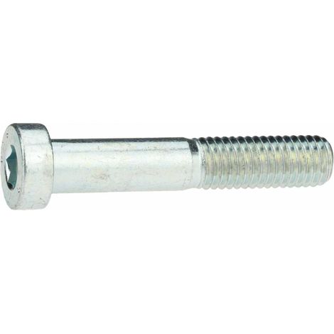 DIN 7984 Zylinderschraube 24x50mm Stahl 8.8 verzinkt niedriger Kopf Innensechskant (1/4)