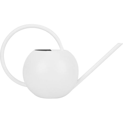 1 arrosoir inox à long bec, conception précise, arrosoir jardin et intérieur, pour plantes délicates et arrosage ciblé