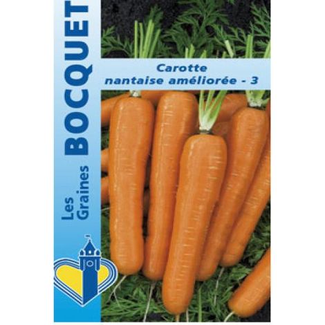 Carotte 'Nantaise Améliorée' le sachet de 3600 graines (5g) (1/2)