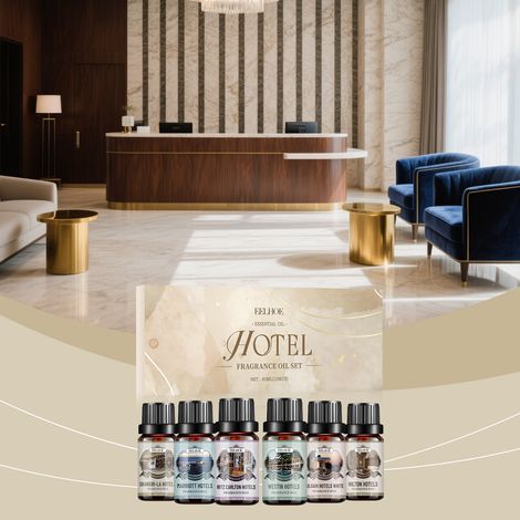 Coffret cadeau d'huiles essentielles d'aromathérapie pour hôtel - Parfum frais et longue durée, convient à une utilisation à la maison et au bureau - 60 ml (6 x 10 ml) -- BIEMMEDUE (1/5)