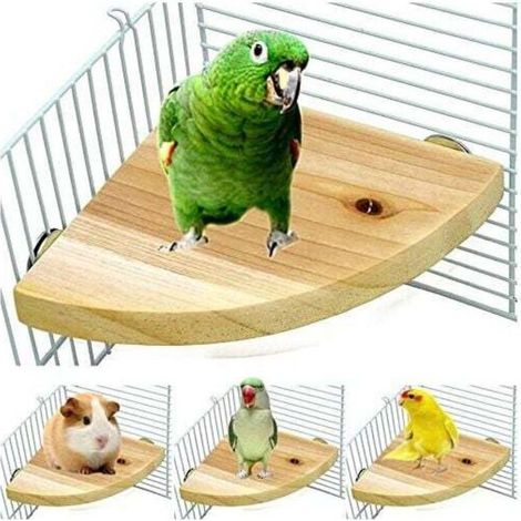 Support de perchoir pour cage à oiseaux UlisemBird, plateforme en bois en forme d'éventail pour perroquets, accessoires pour cage à oiseaux pour perroquets, hamsters, écureuils debout (1/4)